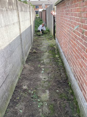 2023 Tuin